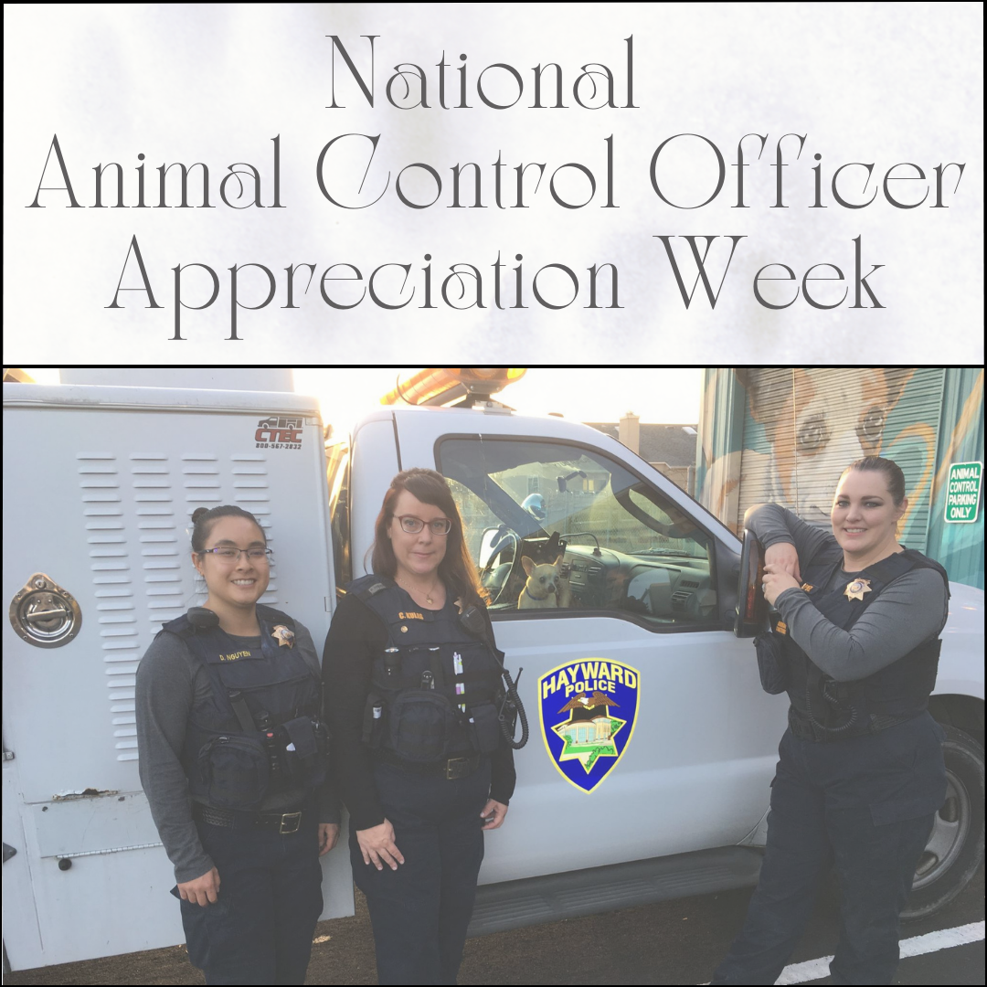 National Animal Control Officer Appreciation Week City of Hayward